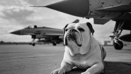 RAF Recruitment
